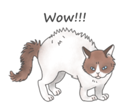 Lovely Cats! [ENG] sticker #12417665