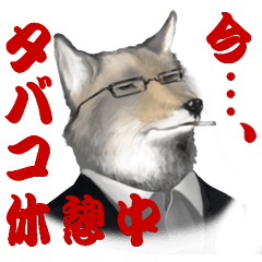 Vulpes ferrilata real life