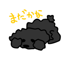 Black Toy Poodle YOMOGI sticker #12423167