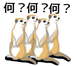 [Does not work] loose animals sticker #12424108