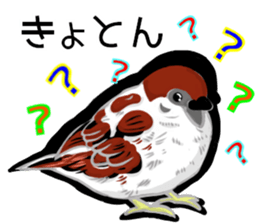 [Does not work] loose animals sticker #12424133