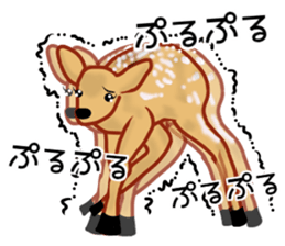 [Does not work] loose animals sticker #12424135