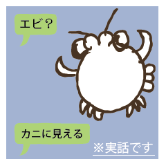 Large Shrimpy Sticker