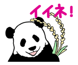 Pun Pandan(Animation) sticker #12424847