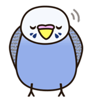 budgerigar! [Ver4](move) sticker #12425910