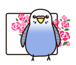budgerigar! [Ver4](move) sticker #12425915