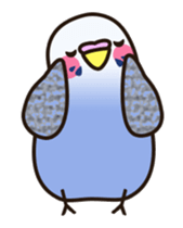 budgerigar! [Ver4](move) sticker #12425916