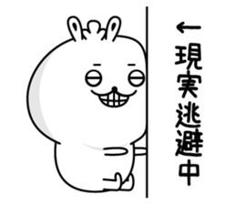 Rabbit to appropriately reply sticker #12426336