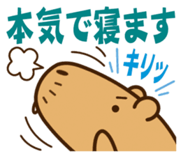 Always sleepy capybara. sticker #12428169