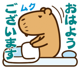 Always sleepy capybara. sticker #12428170