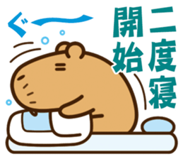 Always sleepy capybara. sticker #12428172