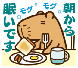 Always sleepy capybara. sticker #12428175