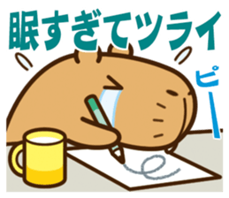 Always sleepy capybara. sticker #12428178