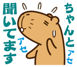 Always sleepy capybara. sticker #12428182