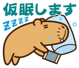 Always sleepy capybara. sticker #12428189