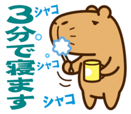 Always sleepy capybara. sticker #12428202