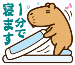 Always sleepy capybara. sticker #12428203