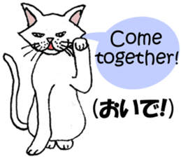 TAKEZO CAT sticker #12428864