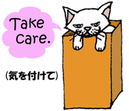 TAKEZO CAT sticker #12428867