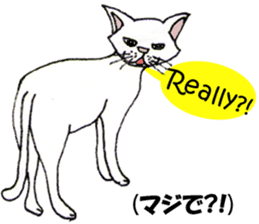 TAKEZO CAT sticker #12428875