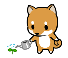 Shibaban2 sticker #12430417