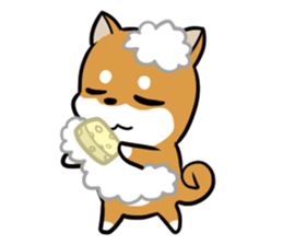 Shibaban2 sticker #12430422