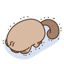 FUNNY PLATYPUS sticker #12431201