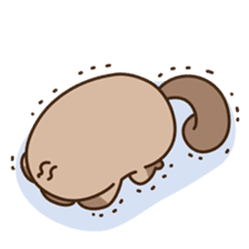 FUNNY PLATYPUS sticker #12431201