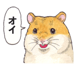 Very cute hamster sticker sticker #12431848