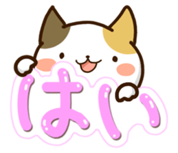 Mischievous a tortoiseshell cat sticker #12431991