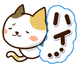 Mischievous a tortoiseshell cat sticker #12431992