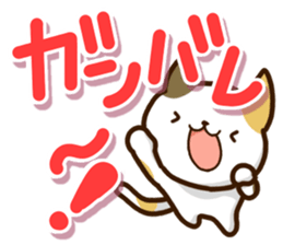 Mischievous a tortoiseshell cat sticker #12432001