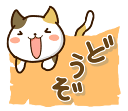 Mischievous a tortoiseshell cat sticker #12432009