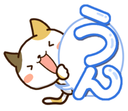 Mischievous a tortoiseshell cat sticker #12432017