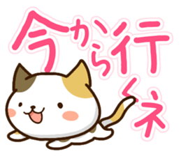 Mischievous a tortoiseshell cat sticker #12432022