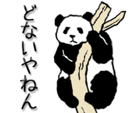 Pandan!(Kansai dialect) sticker #12432963