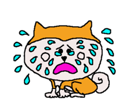 Shiba inu MOMO chan the third as well 7 sticker #12434072