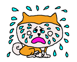 Shiba inu MOMO chan the third as well 7 sticker #12434073