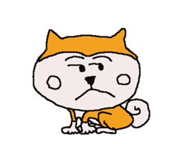 Shiba inu MOMO chan the third as well 7 sticker #12434079