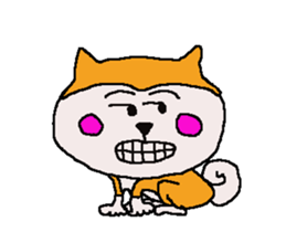 Shiba inu MOMO chan the third as well 7 sticker #12434080