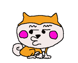 Shiba inu MOMO chan the third as well 7 sticker #12434081