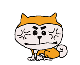 Shiba inu MOMO chan the third as well 7 sticker #12434083