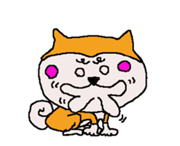 Shiba inu MOMO chan the third as well 7 sticker #12434084