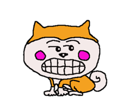 Shiba inu MOMO chan the third as well 7 sticker #12434085