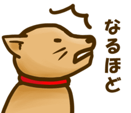 Dog of Taro's sticker #12434570