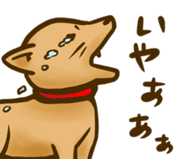 Dog of Taro's sticker #12434578