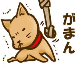 Dog of Taro's sticker #12434584