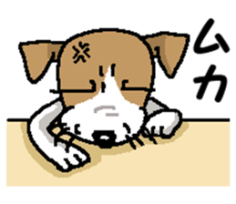 Jack dog 5 sticker #12434693