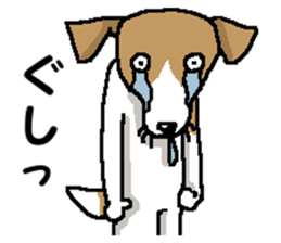 Jack dog 5 sticker #12434696