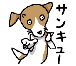 Jack dog 5 sticker #12434706